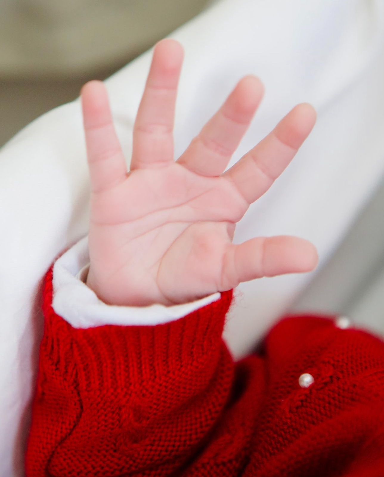 whatsapp image 2024 10 16 at 14.38.33