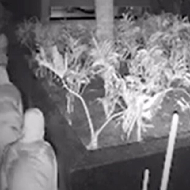 bandidos invadem casa e mantem vitima refem