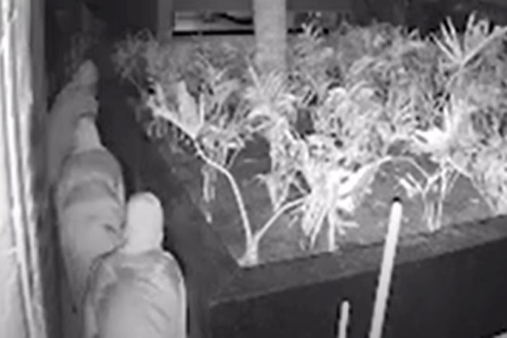 bandidos invadem casa e mantem vitima refem