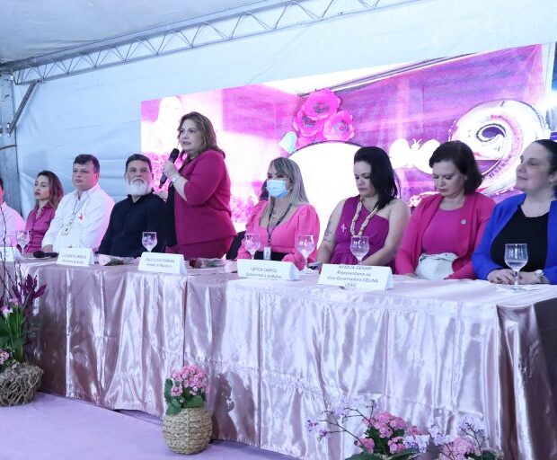 secretaria de saude destaca servico ofertado para o atendimento as mulheres desde o diagnostico ate o apoio apos cirurgias. foto sandro araujo agencia saude df 2 768x512