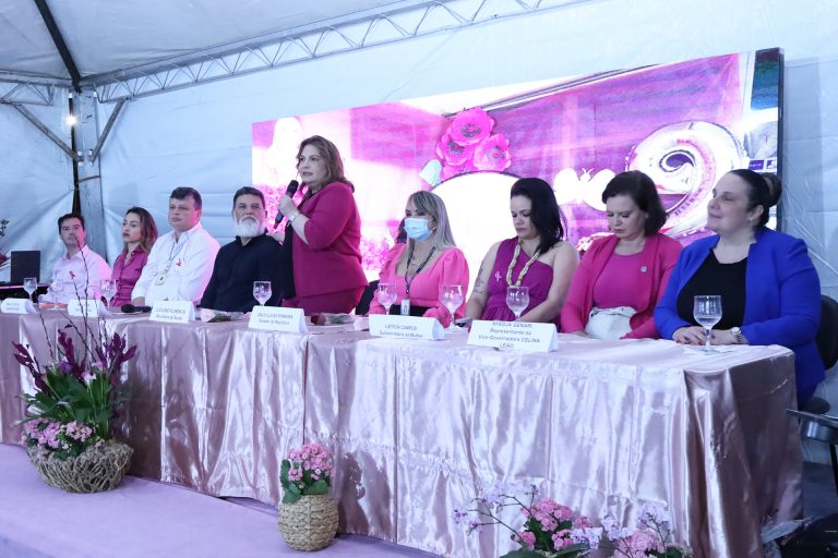 secretaria de saude destaca servico ofertado para o atendimento as mulheres desde o diagnostico ate o apoio apos cirurgias. foto sandro araujo agencia saude df 2 768x512