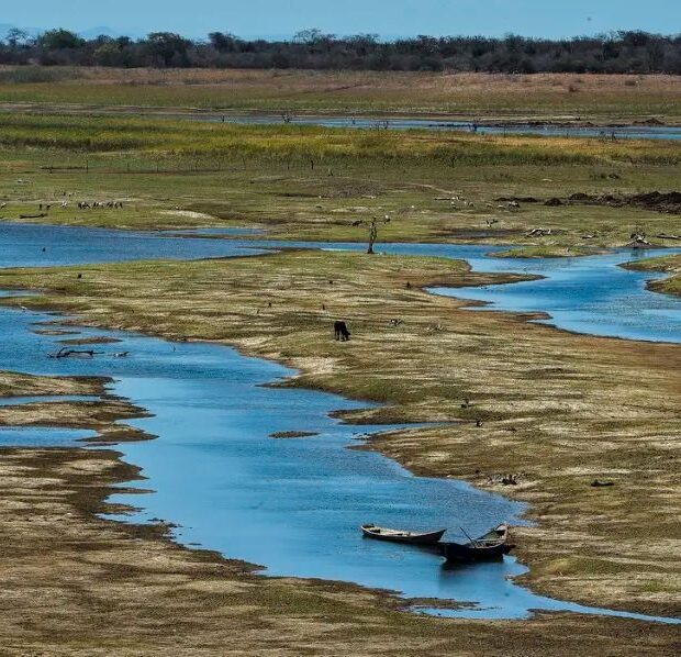 emergencia climatica