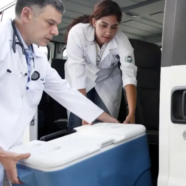 22409transplante 2 1