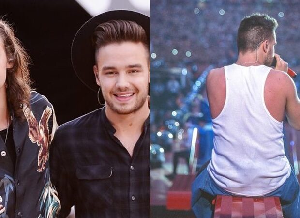 harry styles sobre morte de liam payne widelg