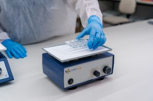 whatsapp image 2024 10 18 at 10.06.01