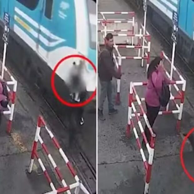 homem distraido celular