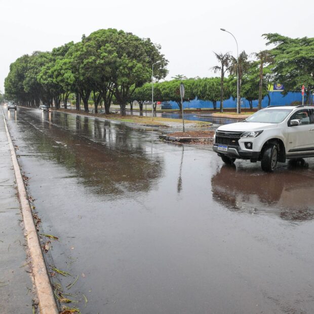 avenida das mangueiras