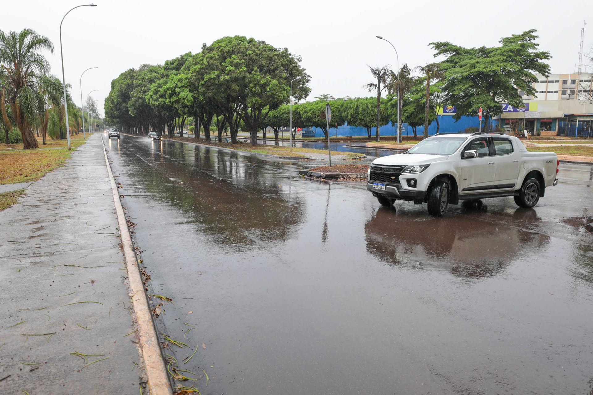 avenida das mangueiras