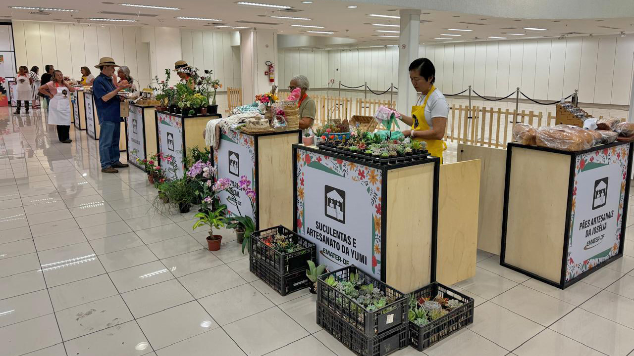 3 feira rural