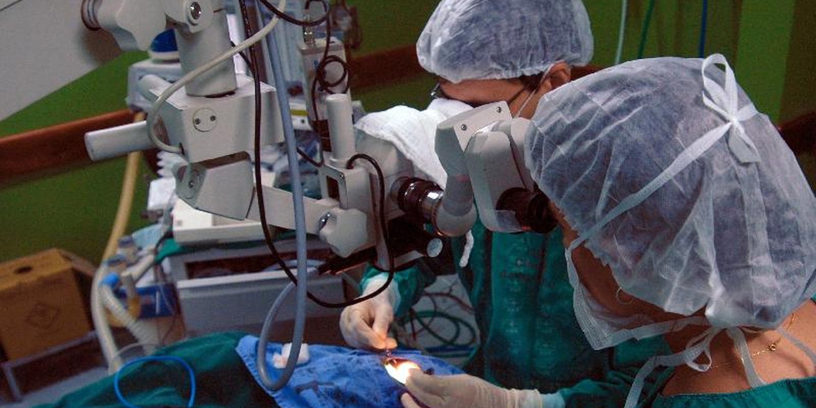 tranplantes vale esta