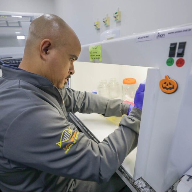 dentro 1 28 1920x1280