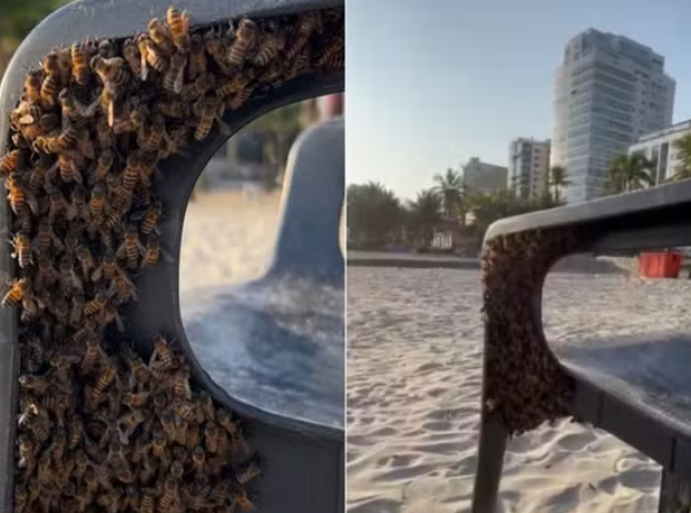 captura de tela 2024 10 21 064500