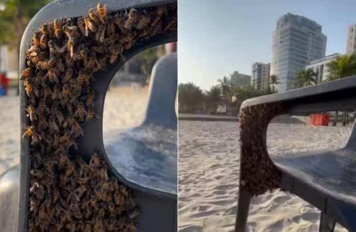 captura de tela 2024 10 21 064500