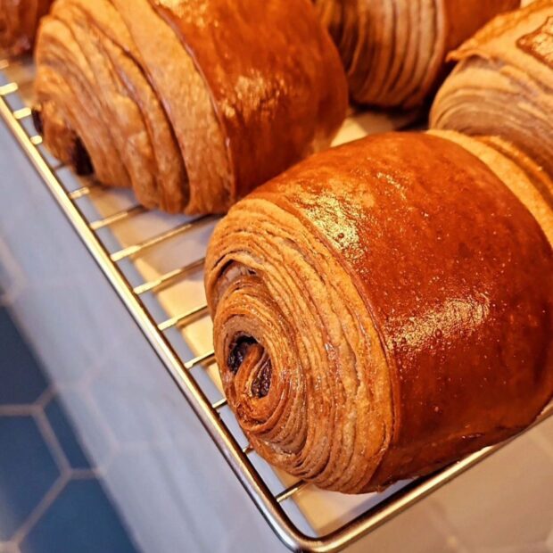 whatsapp image 2024 10 21 at 15.32.29