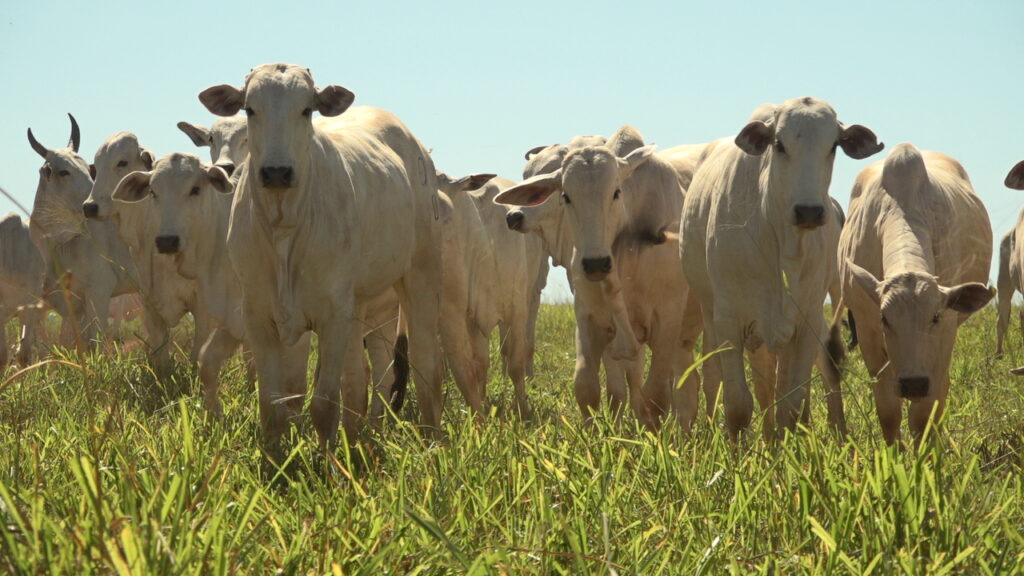 whatsapp image 2024 10 21 at 15.46.52