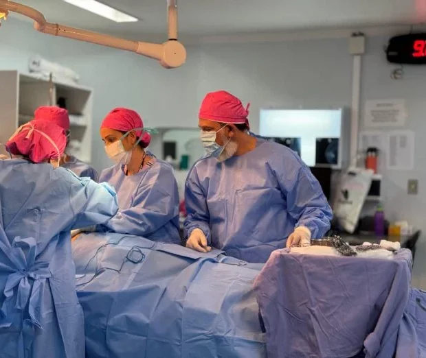 whatsapp image 2024 10 17 at 22.36.20 696x522