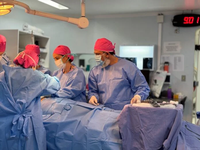 whatsapp image 2024 10 17 at 22.36.20 696x522