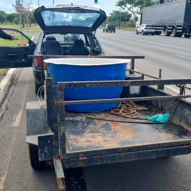 imagem do whatsapp de 2024 10 21 à(s) 22.41.04 924eb5fa