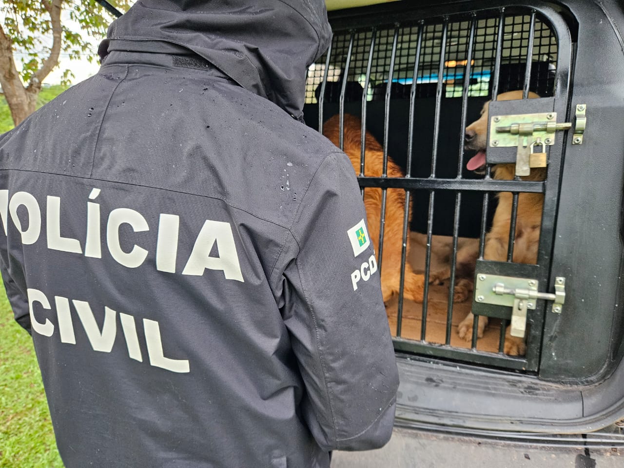 photo 2024 10 22 08 50 19