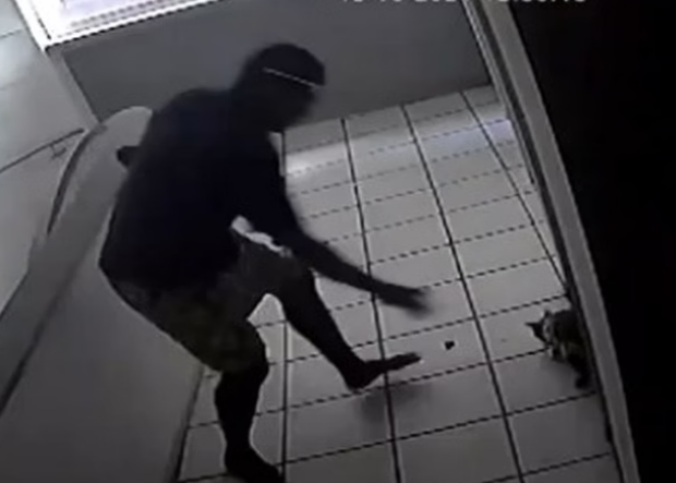 captura de tela 2024 10 22 110009