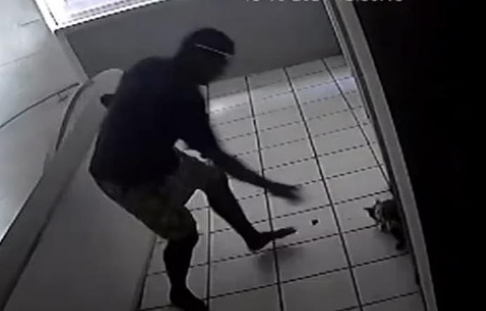 captura de tela 2024 10 22 110009