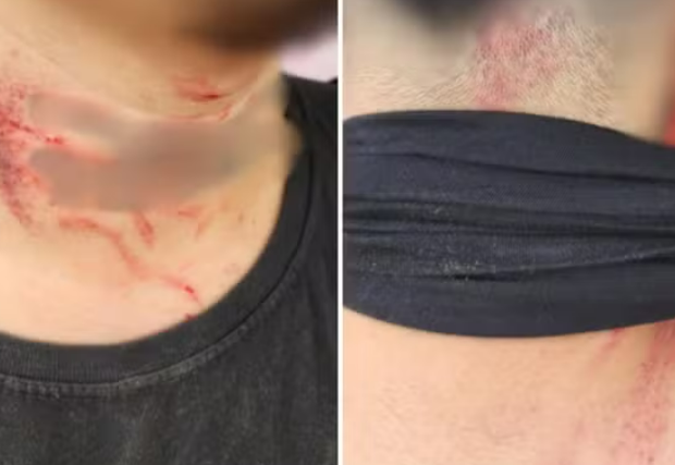 captura de tela 2024 10 23 060319