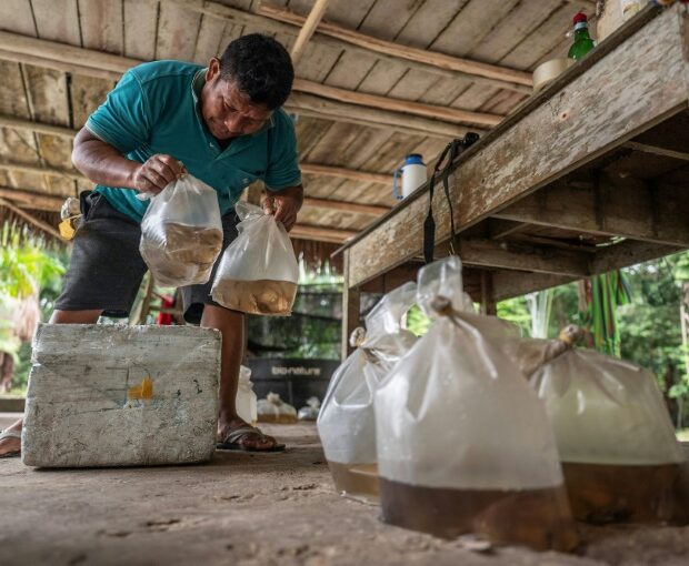 afp1081085696308300074244774962748424734890 3