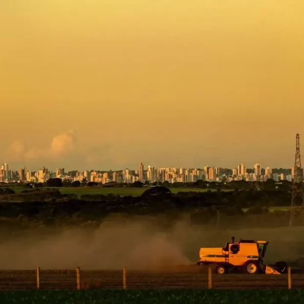 agro cg foto joao garrigocmcg