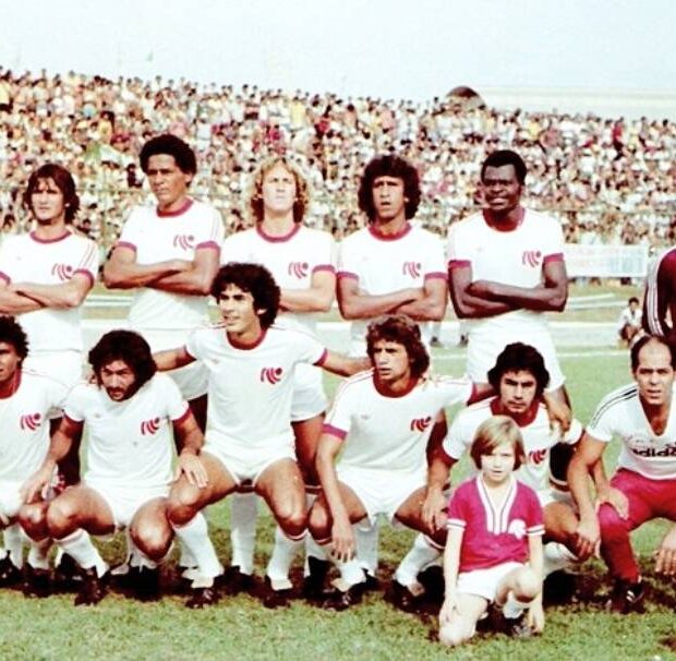 brasiliaec31 div.jpg 95 (1)