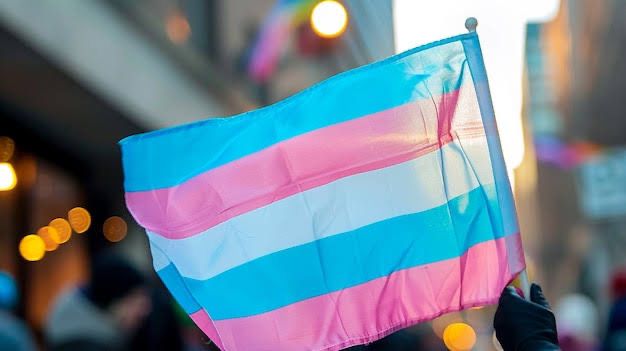 whatsapp image 2024 10 24 at 09.15.46