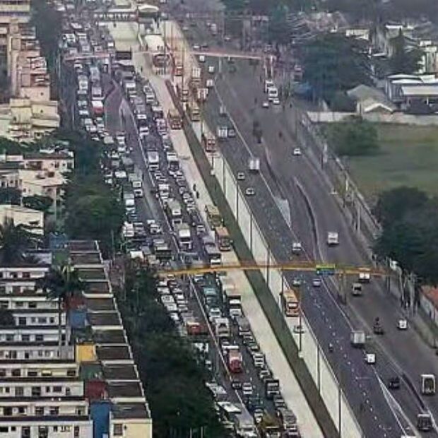 avenida brasil