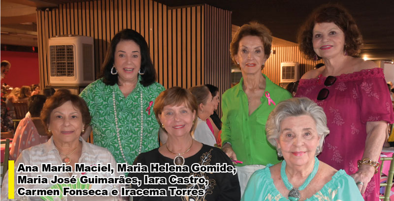 ana maria maciel, maria helena gomide, maria josé guimarães, iara castro, carmen fonseca e iracema torres