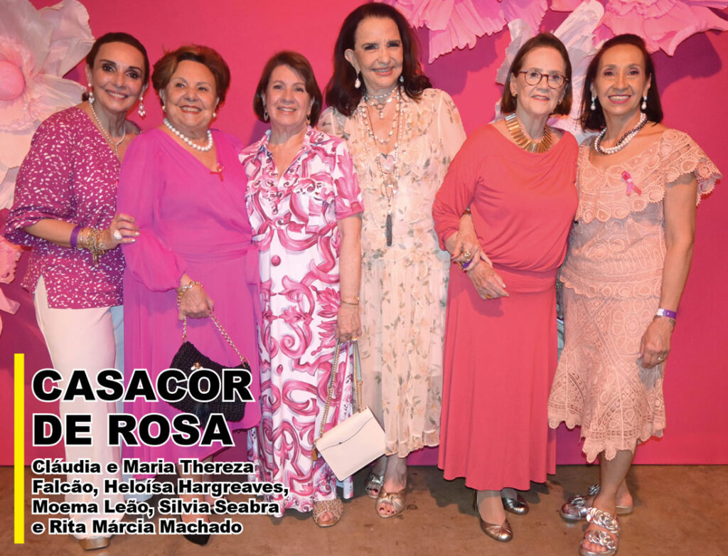 cláudia e maria thereza falcão, heloísa hargreaves, moema leão, silvia seabra e rita márcia machado