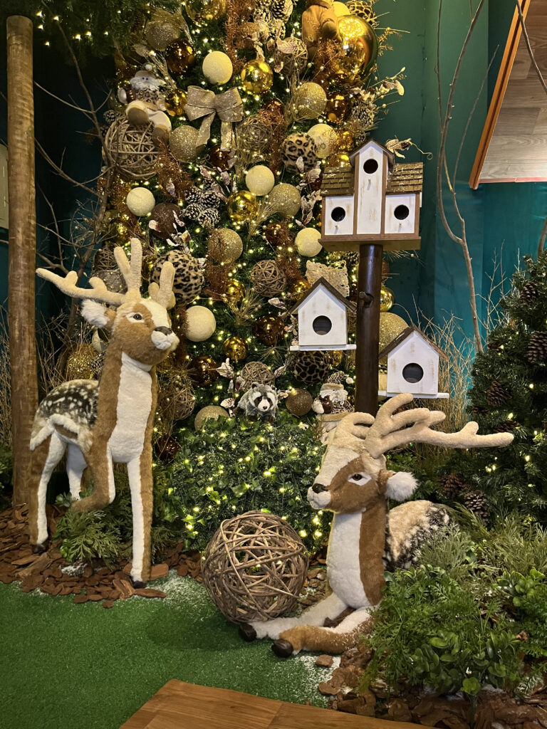 cipollati divulgação 3