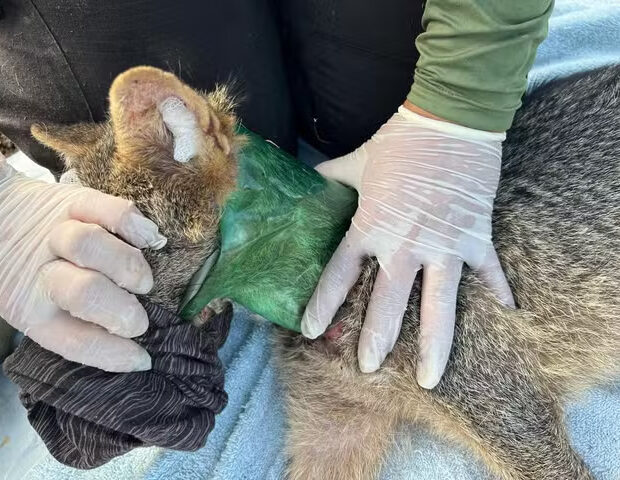 whatsapp image 2024 10 28 at 12.16.42 1