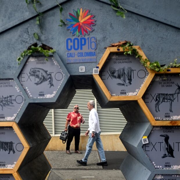 colombia un cop 16 biodiversity environment