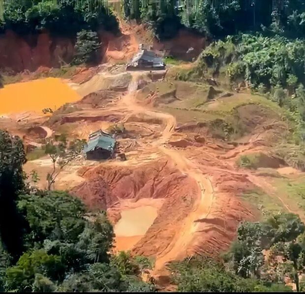 crimes ambientais na amazônia legal