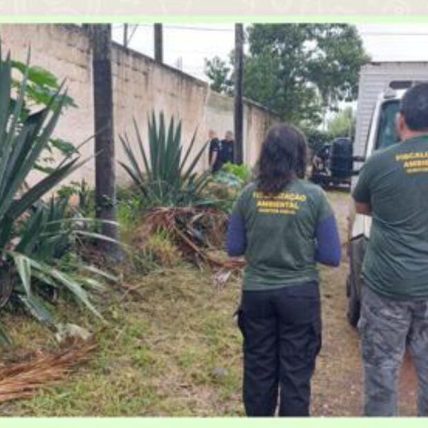 fiscalização ambiental