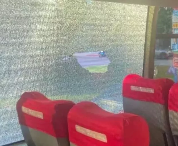 28030305 whatsapp image 2024 10 30 at 185207easy resizecomeasy resizecom 610x400