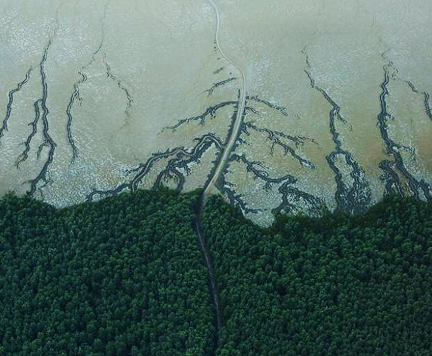foz amazonas