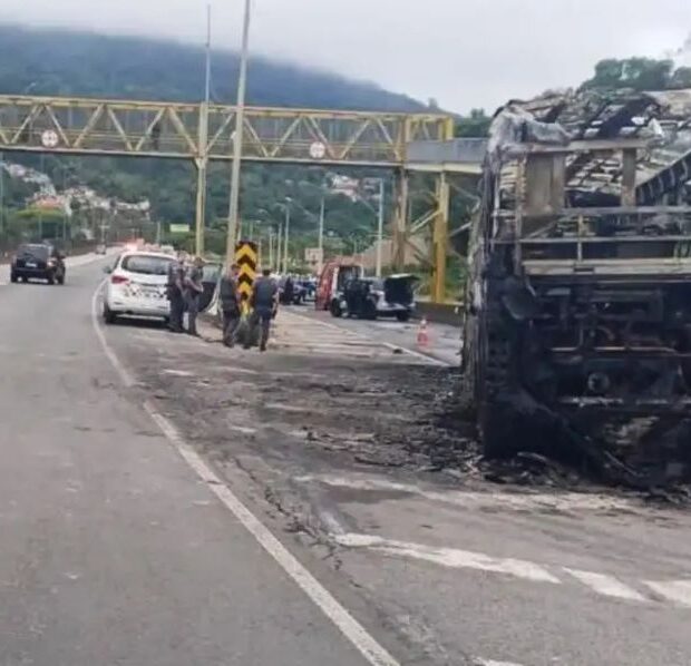 onibus cruzeiro palmeiras mancha