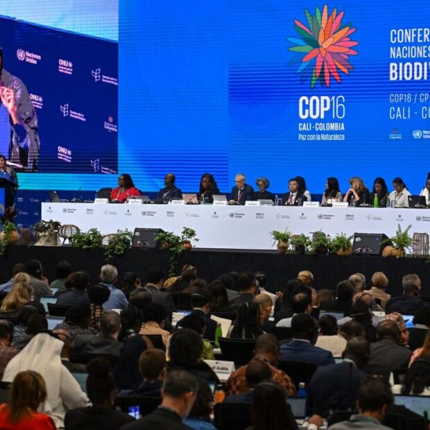 cop 16