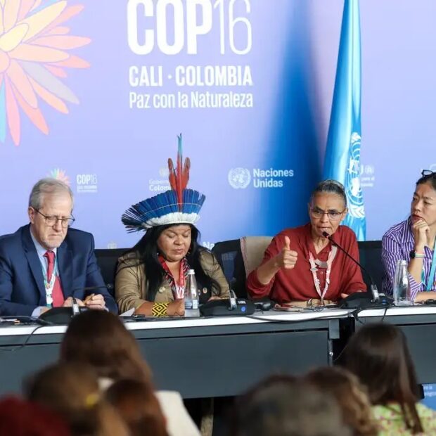 cop16