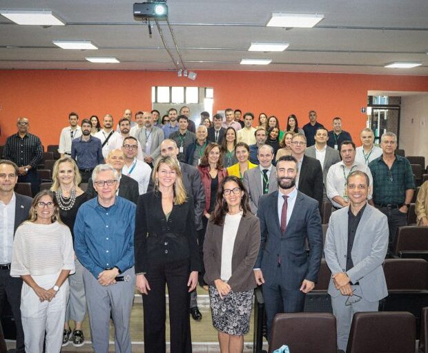 auditores