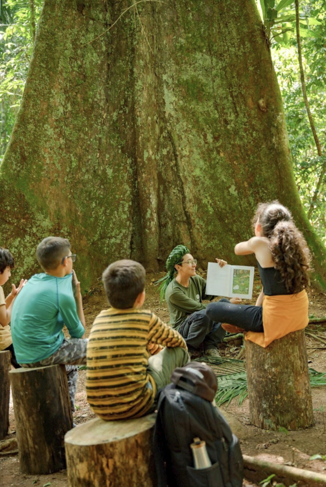 captura de tela 2024 11 04 às 16.45.48