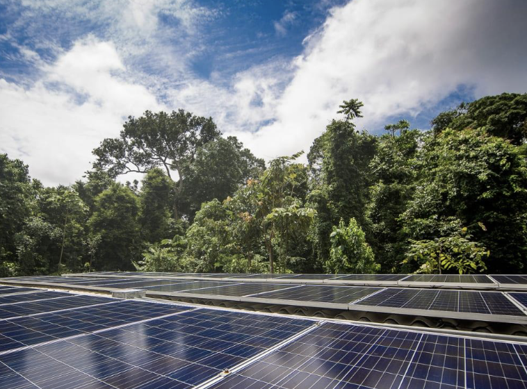 captura de tela 2024 11 04 às 16.48.22