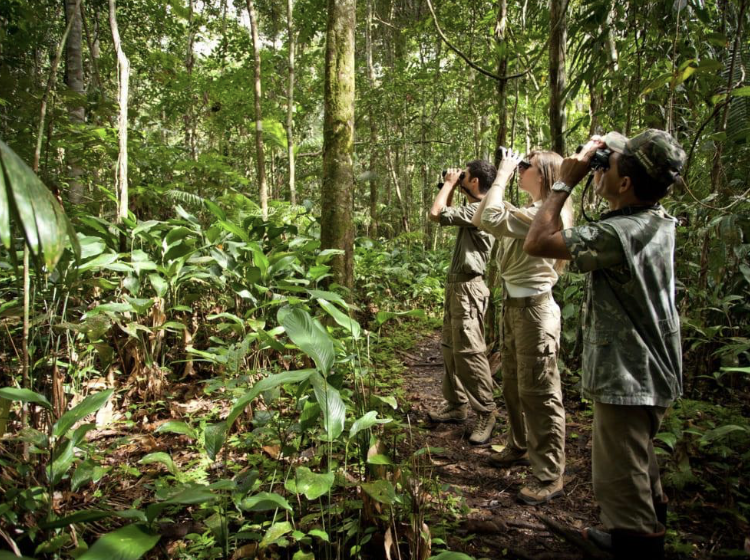 captura de tela 2024 11 04 às 16.48.52