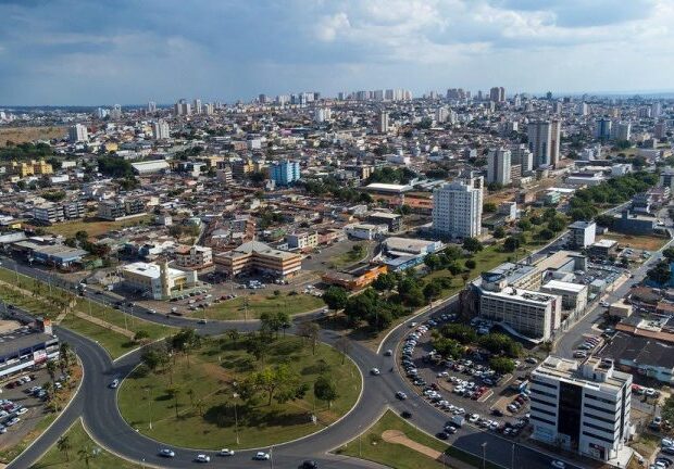 samambaia