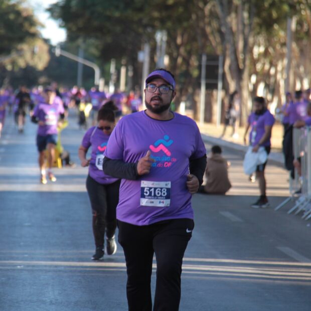 divulgação circuito