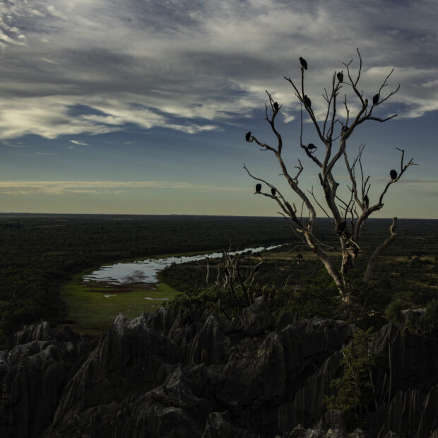 Imagem do livro "Obrigado, Bahia". Foto de Bruno Stuckert.
